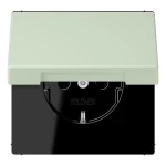 Jung LC1520BFKL218 SCHUKO Steckdose 16A 250V Klappdeckel Serie LS vert anglâis pale 