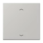 Jung LC990P205 Wippe 1-fach mit Pfeilsymbolen Serie LS gris clair 31 