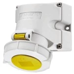 Mennekes 9170 Wanddose TwinCONTACT 32A 4p 4h 110V IP67 