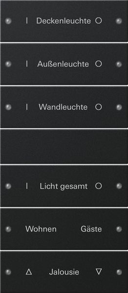 *** Gira 2206005 Wippenset 6-fach (3+3) beschreibbar System 55 Schwarz matt (lackiert) (Bitte denken Sie an die Gira-Konfiguration!)