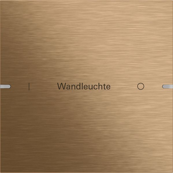 *** Gira 503138 Wippenset 1-fach individuell für Tastsensor 4 Bronze (Bitte denken Sie an die Gira-Konfiguration!)