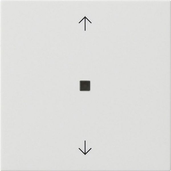 Gira 538803 Wippe 1-fach mit Pfeilsymbolen und Kontrollfenster System 55 Reinweiß glänzend