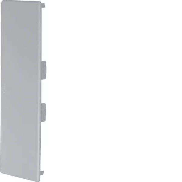 Hager LF6019067030 Endstück halogenfrei zu Leitungsführungskanal LF/FB 60x190mm steingrau