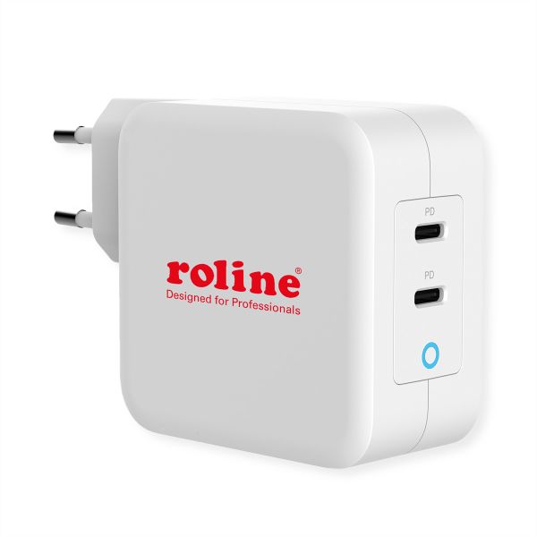 roline 19.11.1053 USB Charger mit Euro-Stecker 2 Port 2x Typ-C PD) GaN 100W